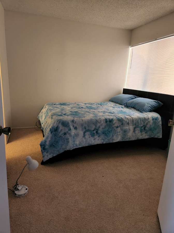 Anu's room