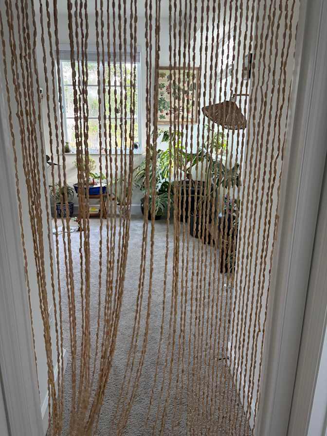 Sierra's room