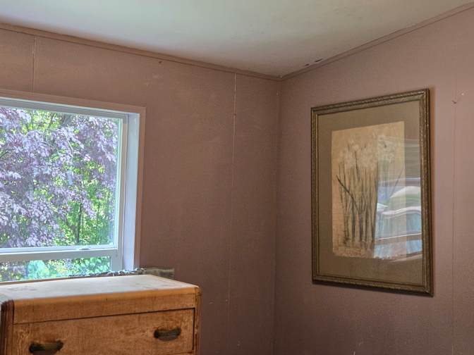 Ld's room