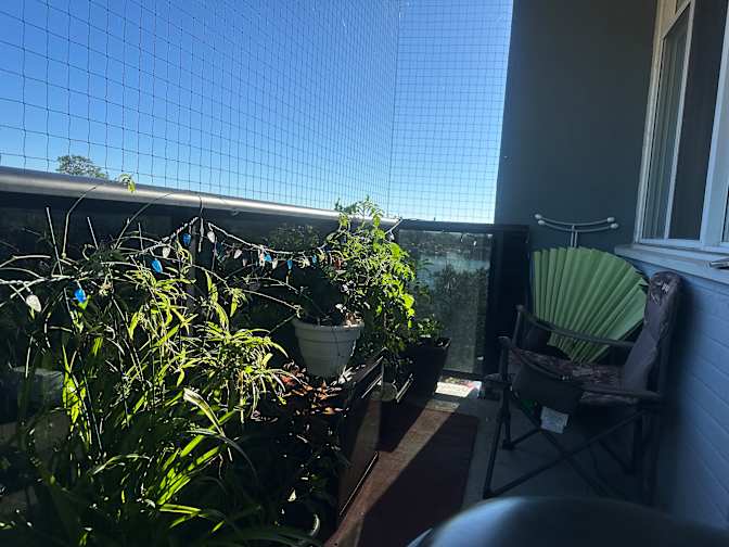 Chin's room