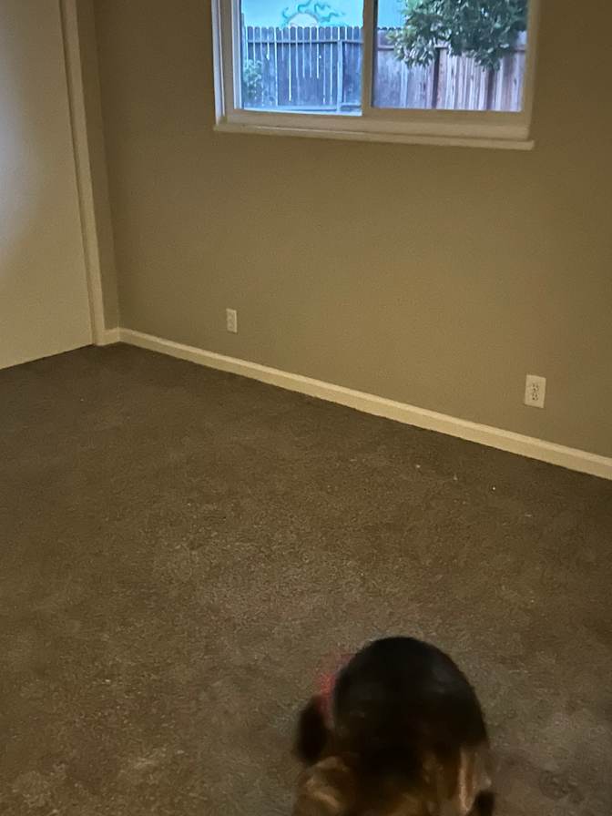 Sammie's room