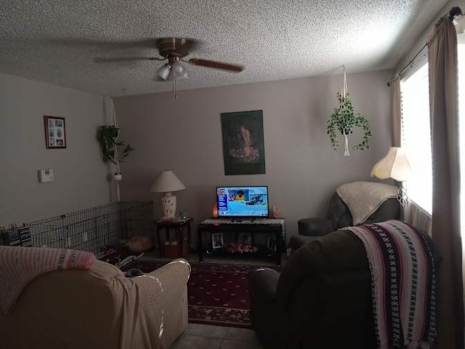 Shaneesta A Coker's room