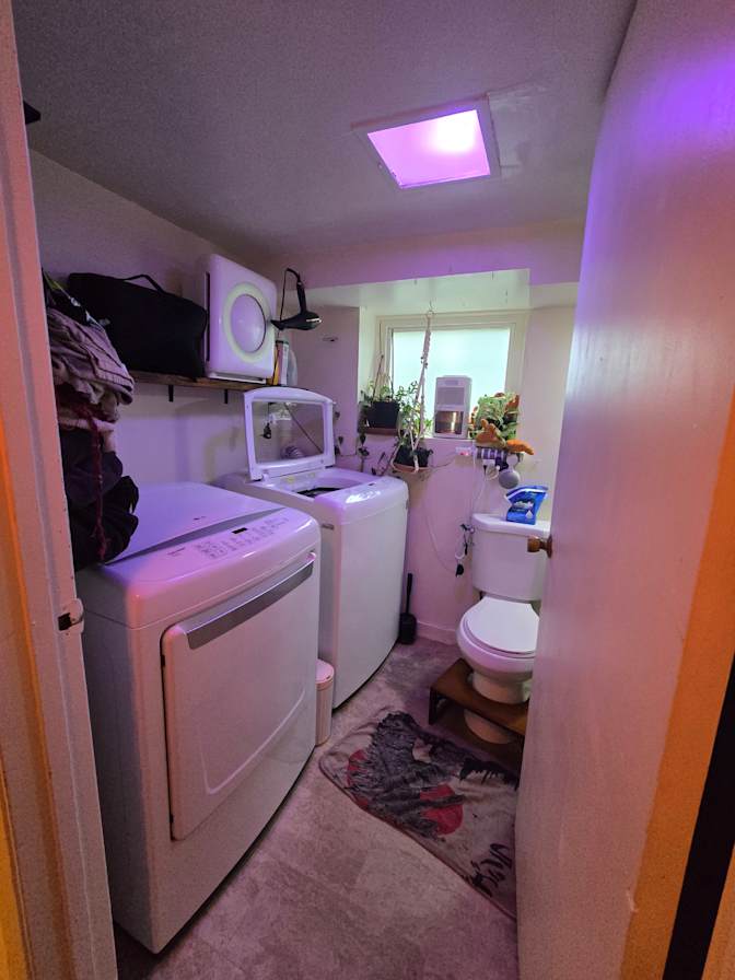 Ty's room