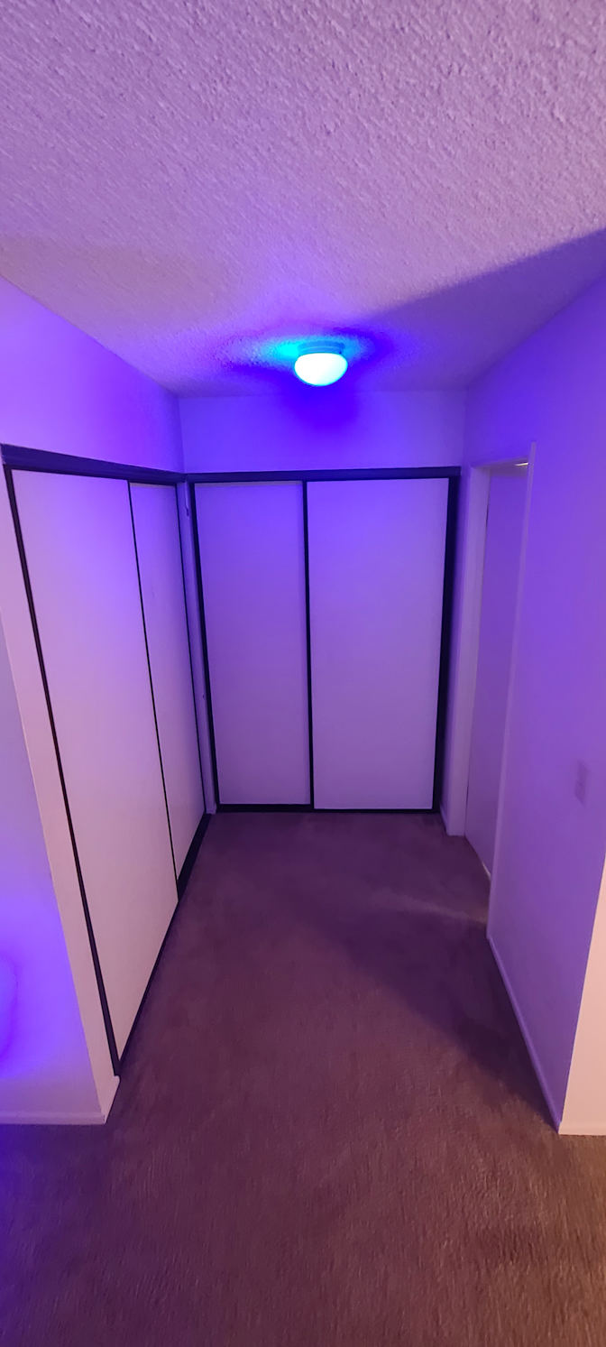 T.'s room
