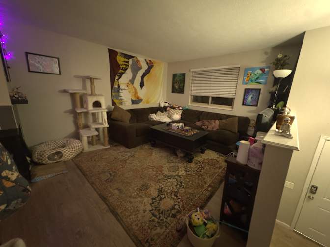 Shannon's room