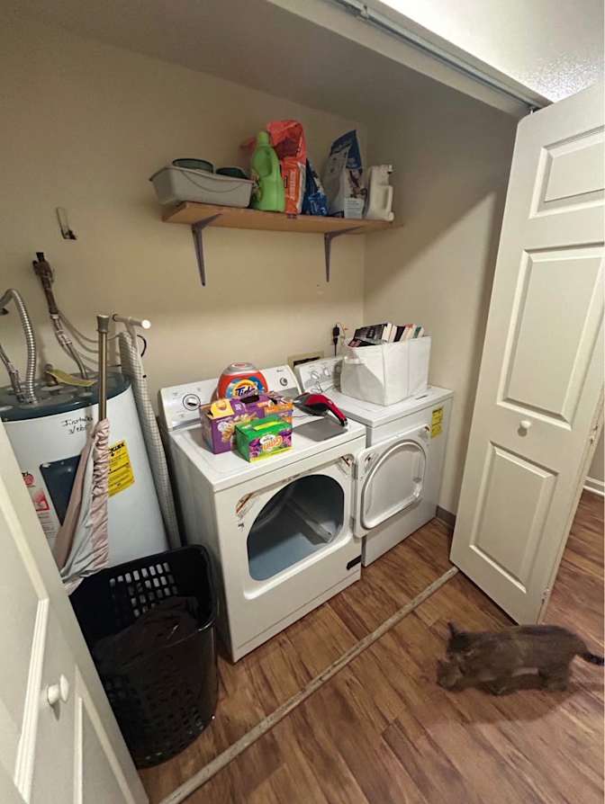 Oscar's room