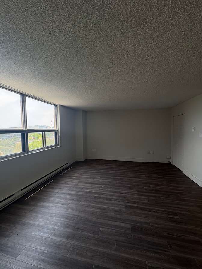Erin's room
