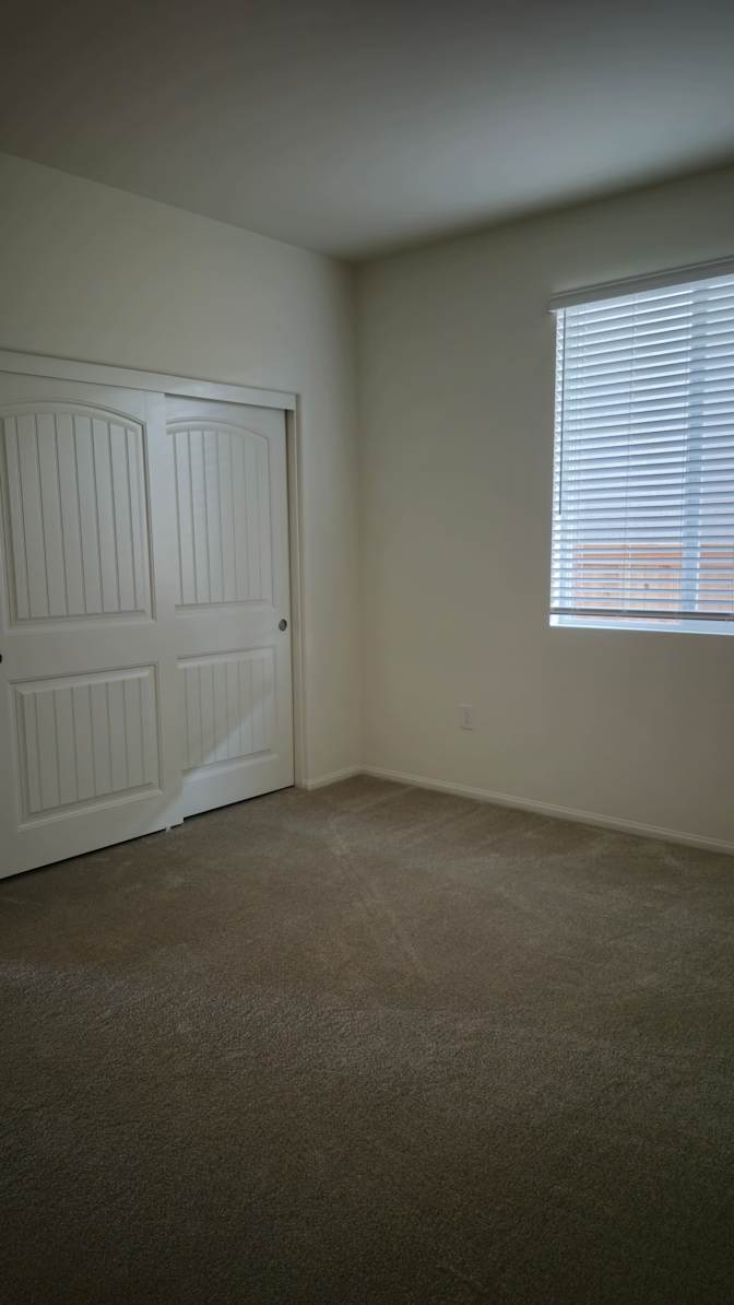 STELLA's room