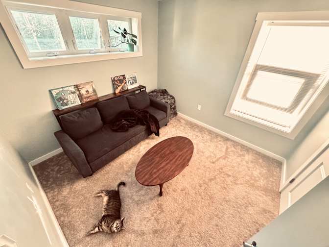 Alena's room