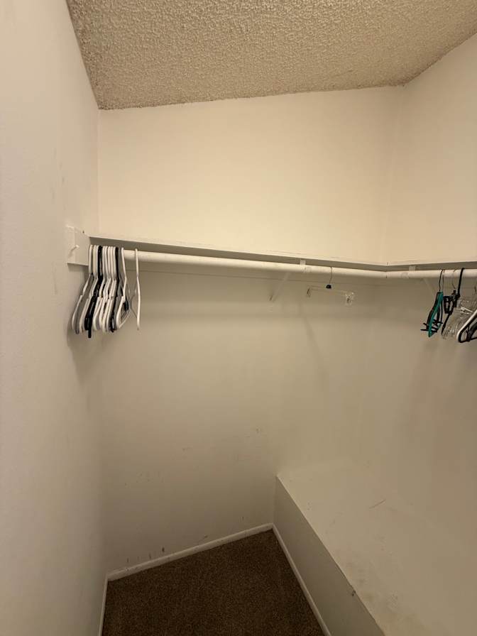 Elaine's room