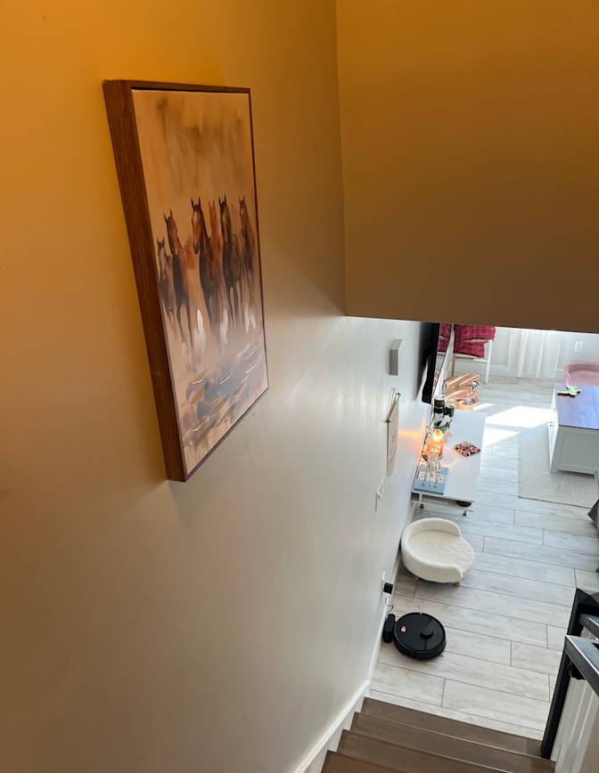 Ainsley Stapleton's room