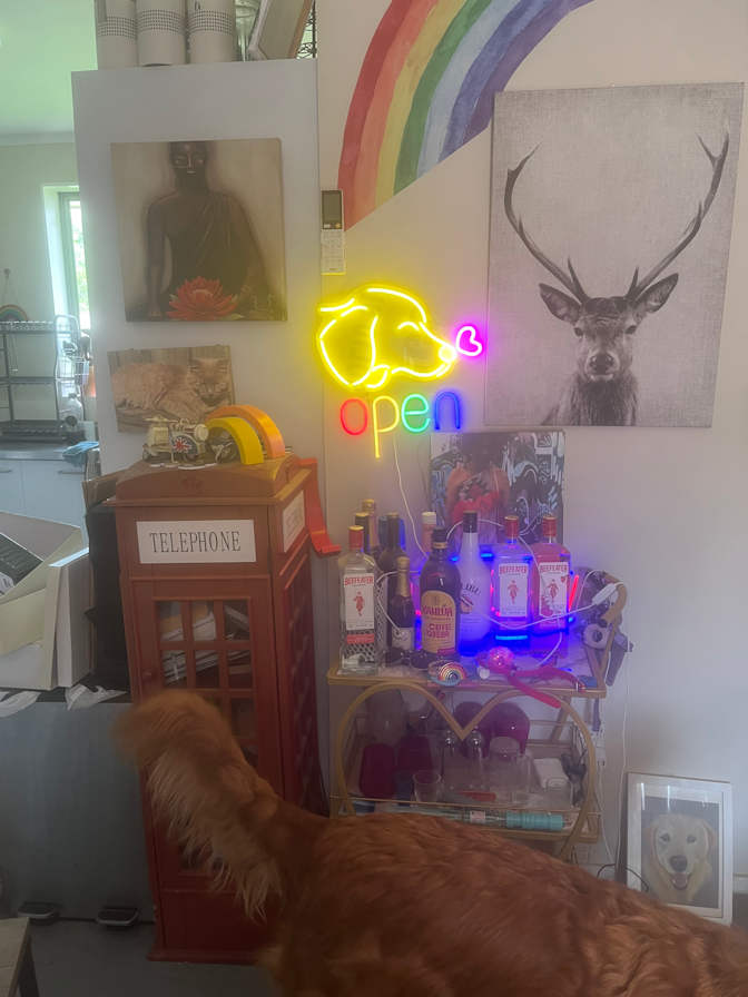 Joshy  Fitzgerald's room