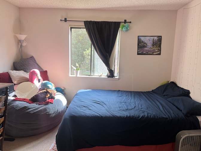 Rachel's room