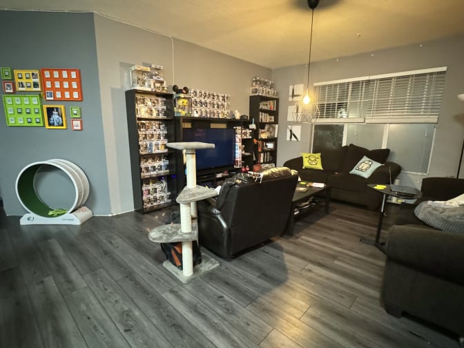 Stacy Jelinek's room