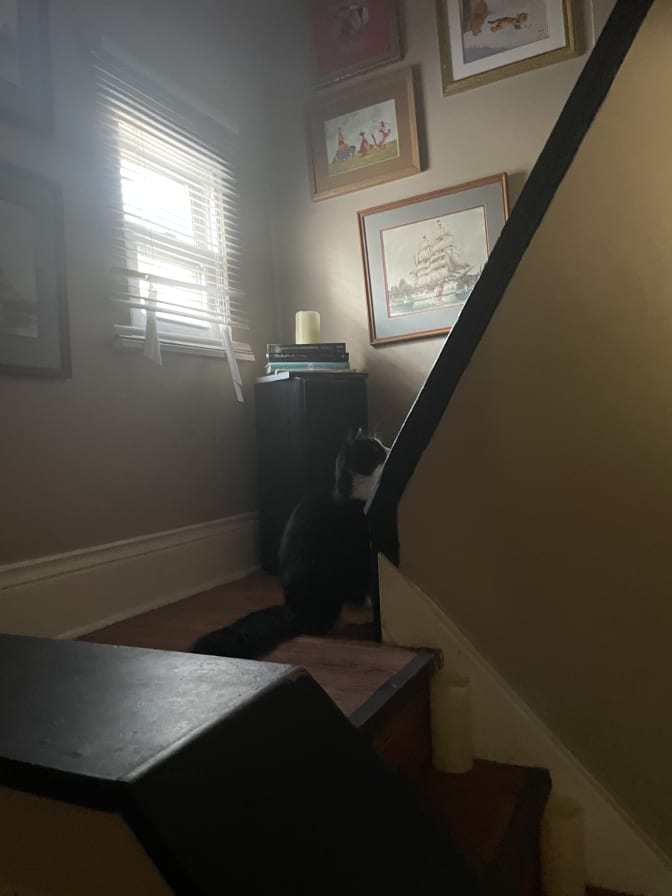 Adam's room