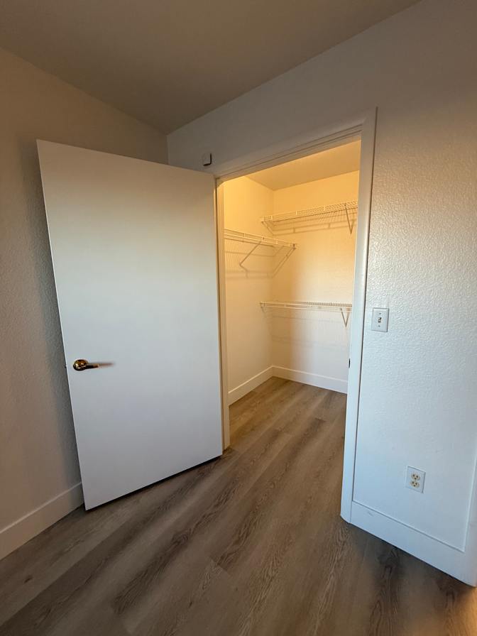 Carmen's room