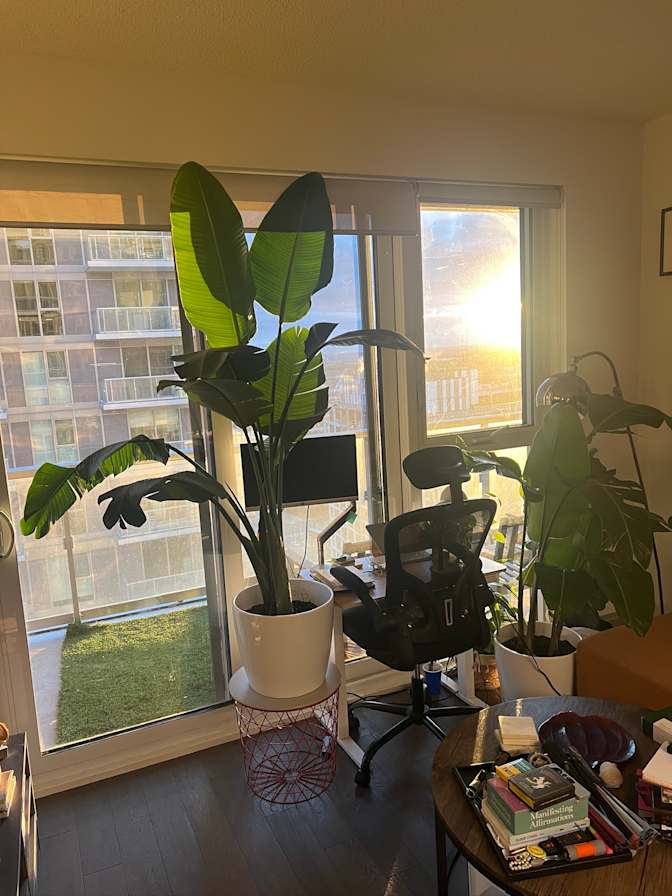 Nicoy Davis's room