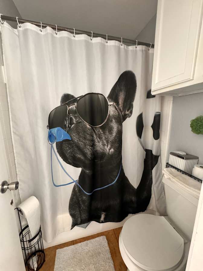 Mary's room