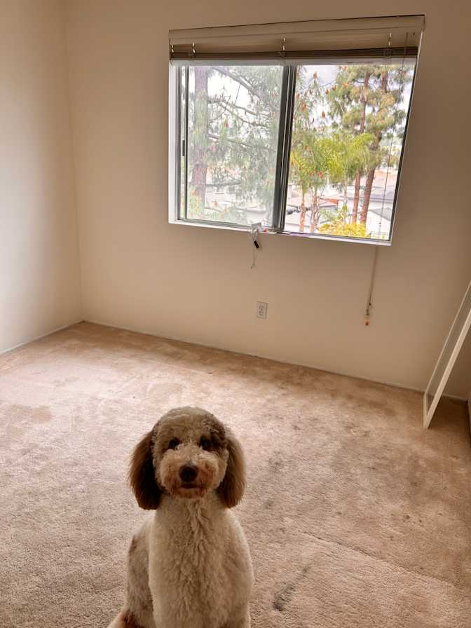 Sophia's room