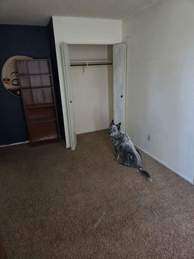 Michael's room