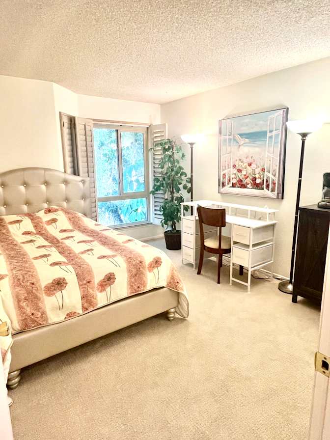 Vahid's room