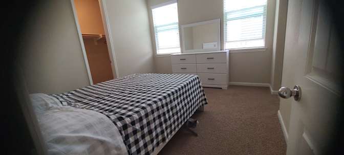 Mike and ZMG's room