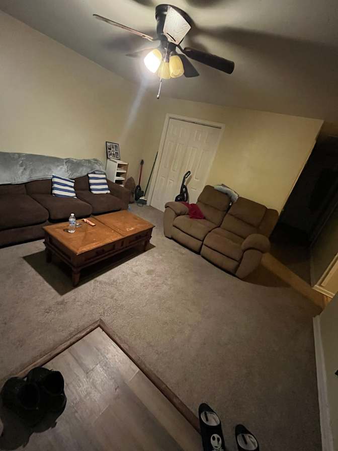 Shawn's room