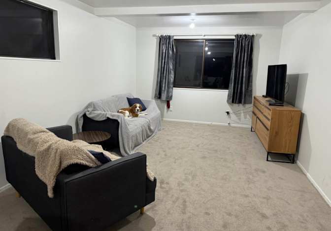 Paula's room