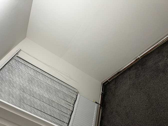 rupeenna's room