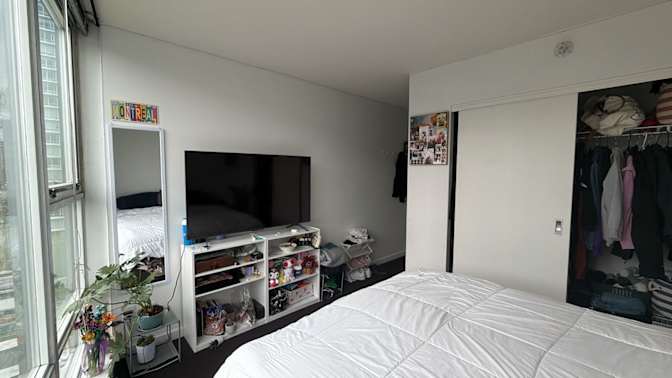 Cat's room