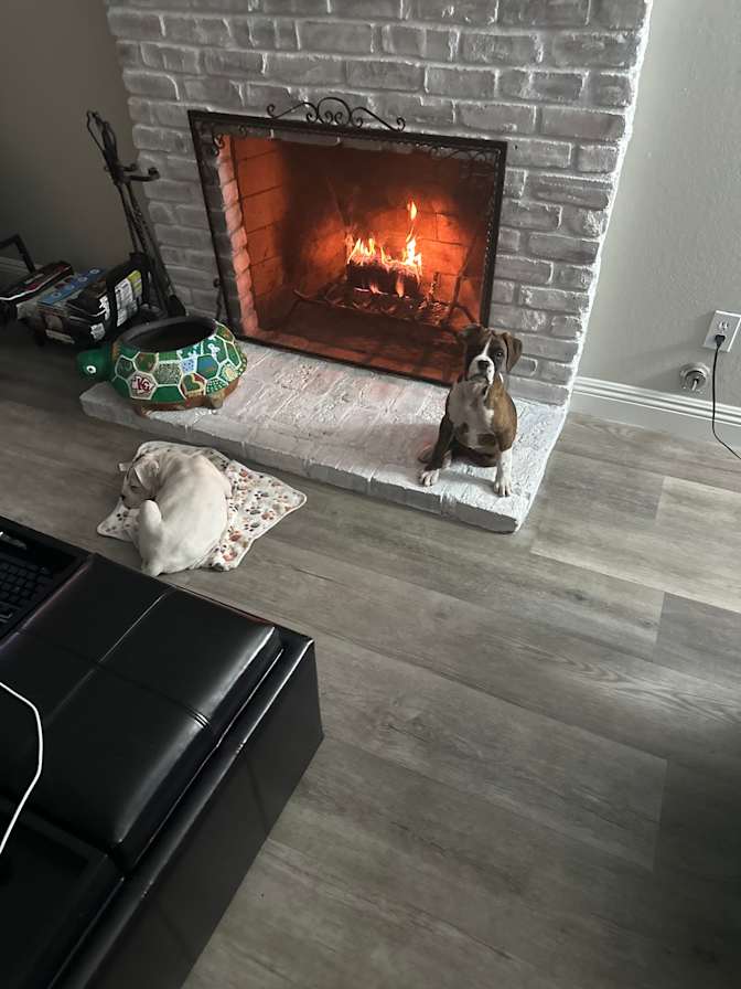 Johnny's room