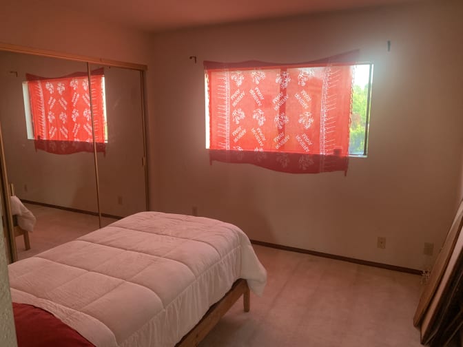 Stew's room
