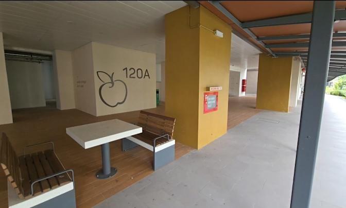 Cheng Fa's room