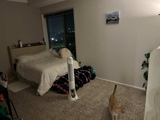 Lidia's room