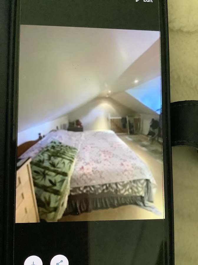 Pamela's room