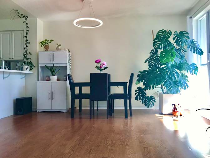 Suzanne's room
