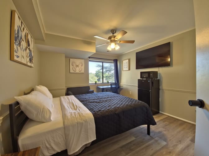 Erika's room