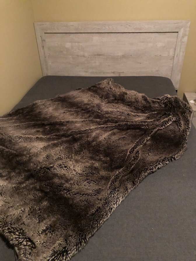 Susan's room