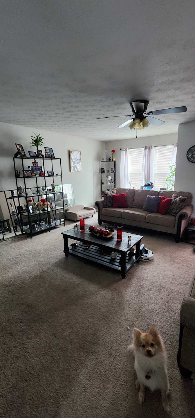 Allen's room