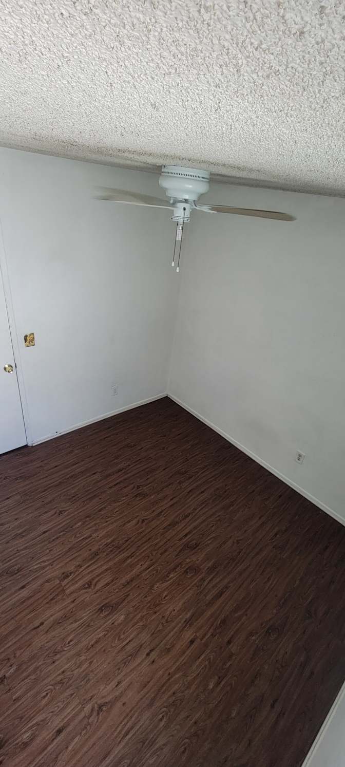 Oz's room