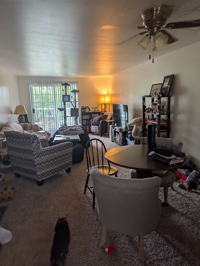 Shea's room