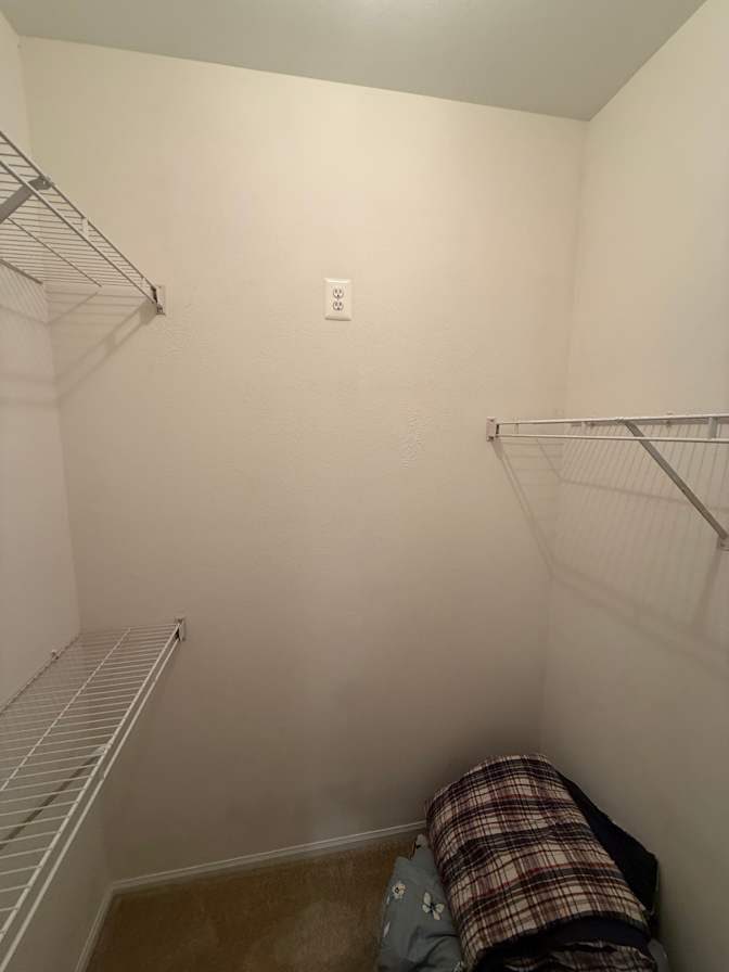 RishiV's room