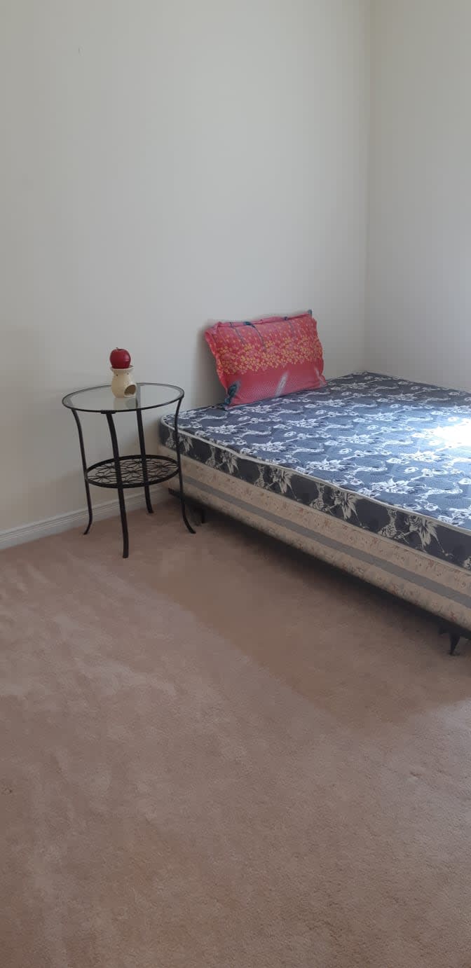 Shaheen's room
