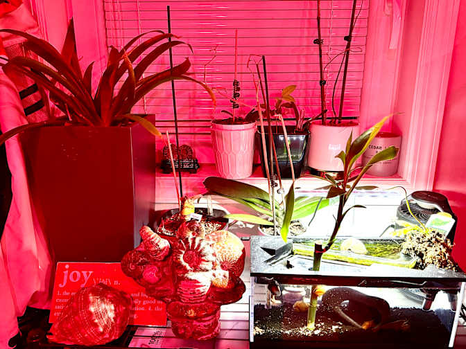 John's room