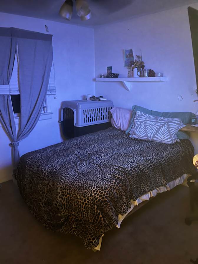 Shawn's room