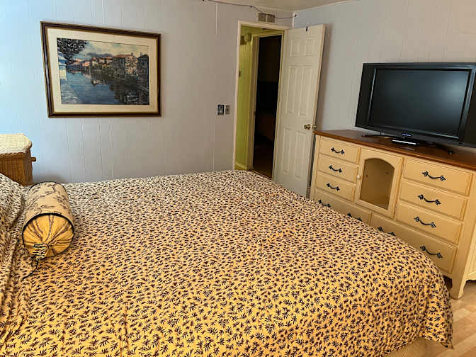 Aviva's room