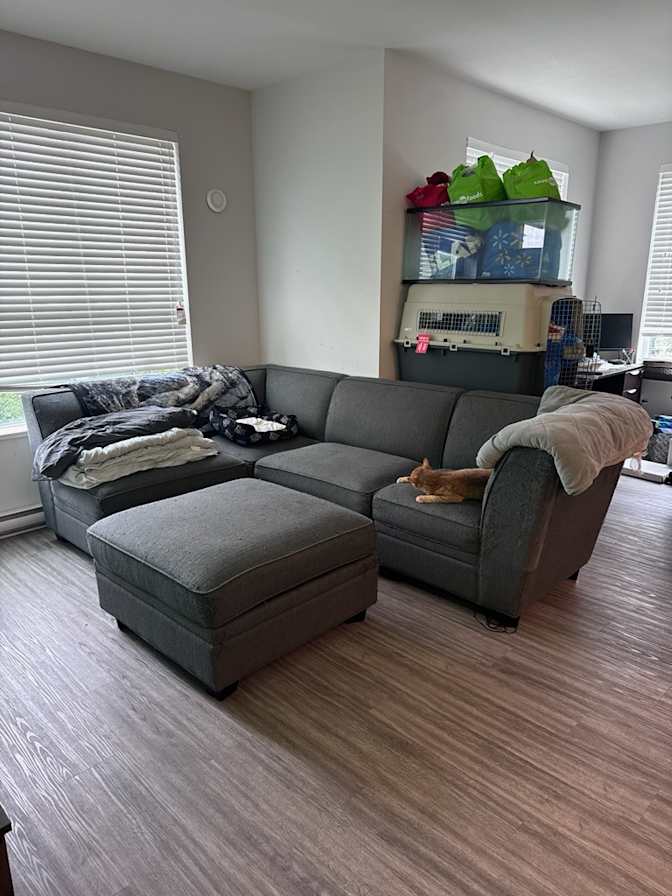 Chad's room