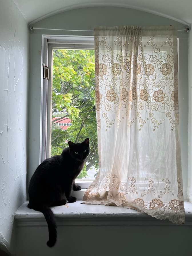 Emma's room