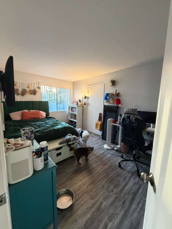 Jane's room
