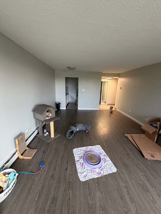 Dina's room